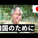 【唖然】日本の農家さん、韓国に「ナシの栽培技術」を提供