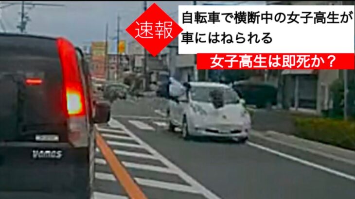 【閲覧注意】この交通事故を見て「車より女子高生が悪い」と思ったやつは運転免許返納レベルらしい