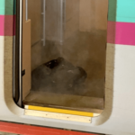 【画像】東北新幹線で白い煙が上がる → 「薬品のようなものに触ってやけどをした人がいる」と通報 4人の乗客がけが