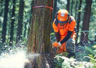 林業「木を切るだけです。大自然の中で仕事できます。定時上がりです。」←これが人気無い理由