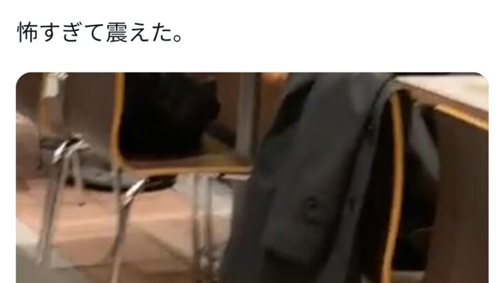 【動画】マックで女子高生が席を立った瞬間、席を移動しJKの座席の匂いを嗅ぐオッサンが撮影されるｗｗｗｗｗｗ