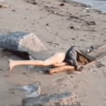 【画像】海水浴客「海岸に女性の遺体が打ち上げられてる」警察「すぐ行きます！」ｼｭﾊﾞﾊﾞﾊﾞﾊﾞ →