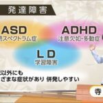 彡(●)(●)で学ぶASDとADHDの違い