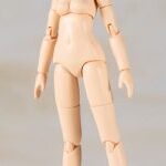 【フレームアームズ・ガール】 「ハンドスケール プライムボディ」プラモデル 再販決定