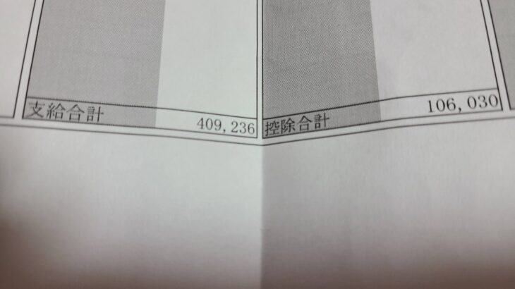 ワイ「き、給料ちゃん！たくさん控除しないで！！」給料「うるさいですね・・・」