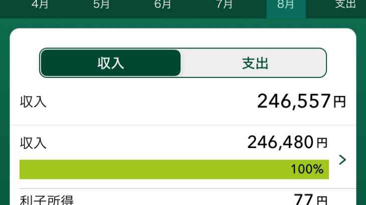 【悲報】ワイくん(30)のおちんぎん入金額クソワロタｗｗｗｗｗｗ