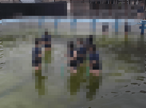 【画像】女子校のプールの水、流石に汚すぎる