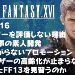 【悲報】レジェンドゲームブロガー「FFユーザーの老齢化がひどい。若い層がプレイしないFFに未来はない