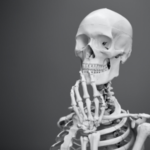 【画像】女さん「この骨格で生まれてきた人は他人より3000万円得してます」