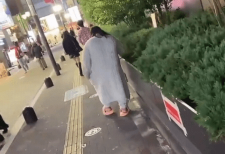 【動画】トー横女さん、通行人の女性に殴りかかったり大声を出したり大暴れ